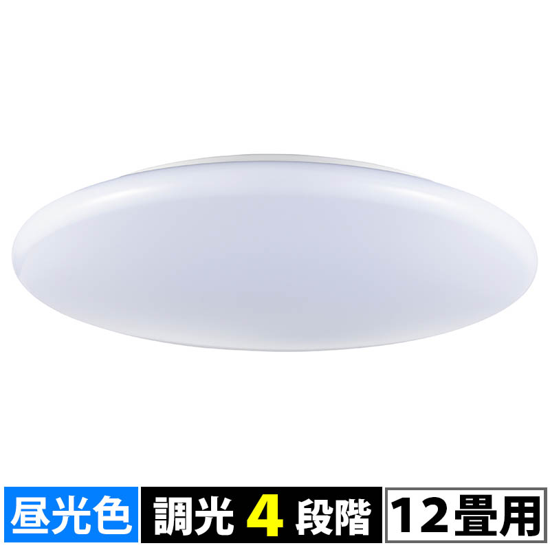 ŵ  LED󥰥饤 06-3679 LE-Y45DBG-W4  4971275636798ŵ  LED󥰥饤 06-3679 LE-Y45DBG-W4  4971275636798